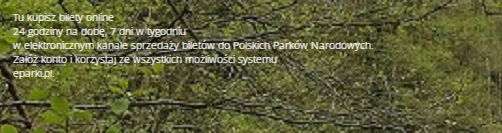 Zezwolenia Pzw Czasowe